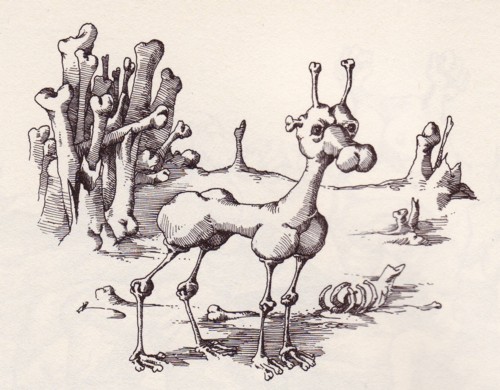 Kurt Halbritter, Halbritters Tier und Pflanzenwelt, Bild, Doppelhoerniger Knoechling - osseus cornutus