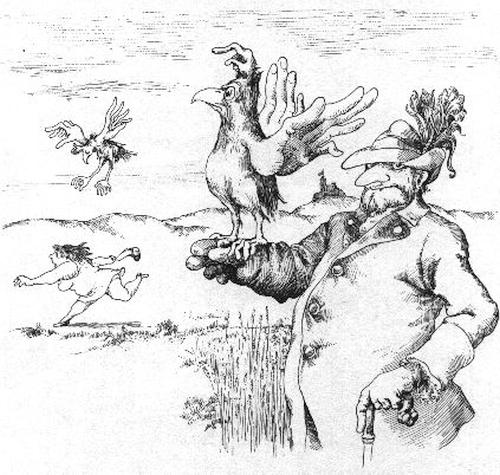 Kurt Halbritter, Halbritters Tier und Pflanzenwelt, Bild, Greifenklau (Greif) - accipiter accipiter