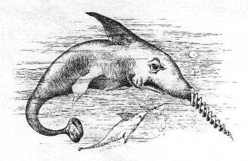 Kurt Halbritter, Halbritters Tier und Pflanzenwelt, Bild, Schraubenhai - pristis cochleata vulgaris